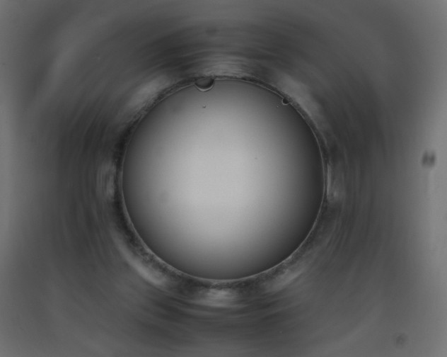 X0000093390157200710111522