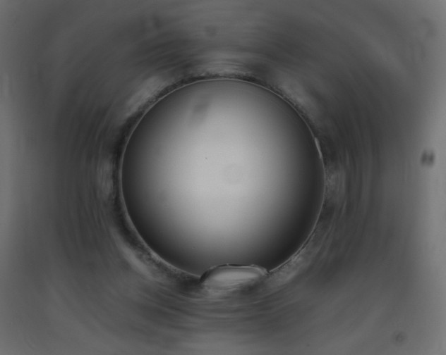 X0000093390158200710111522