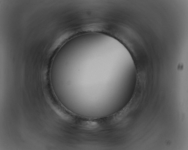 X0000093390159200710111522