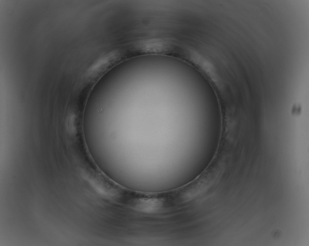 X0000093390161200710111522