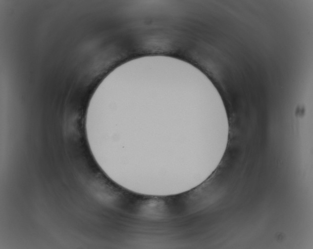 X0000093390162200710111522