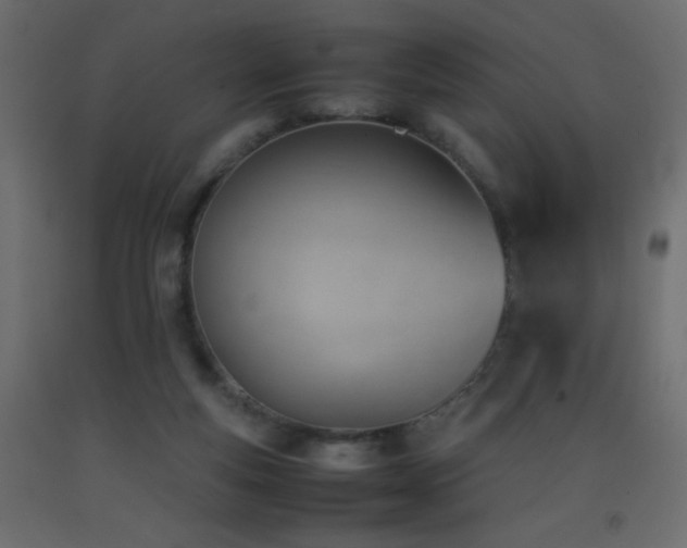 X0000093390163200710111522