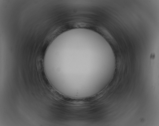 X0000093390169200710111522