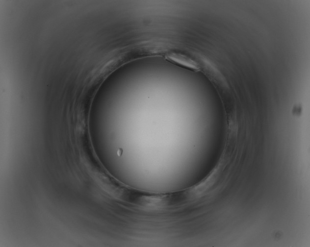 X0000093390170200710111522