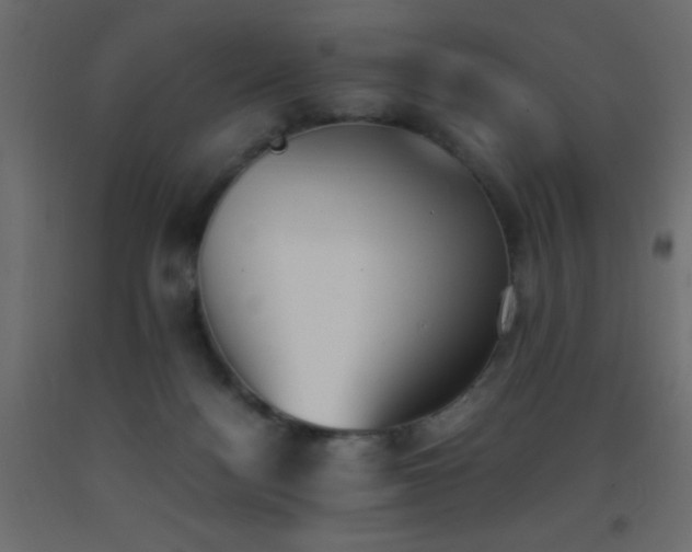 X0000093390172200710111522