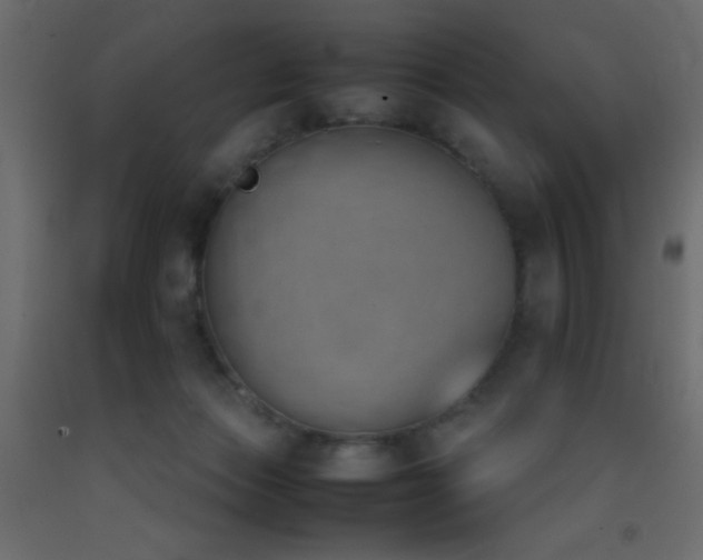 X0000093390173200710111522