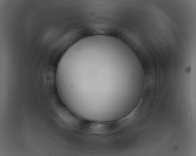 X0000093390174200710111522