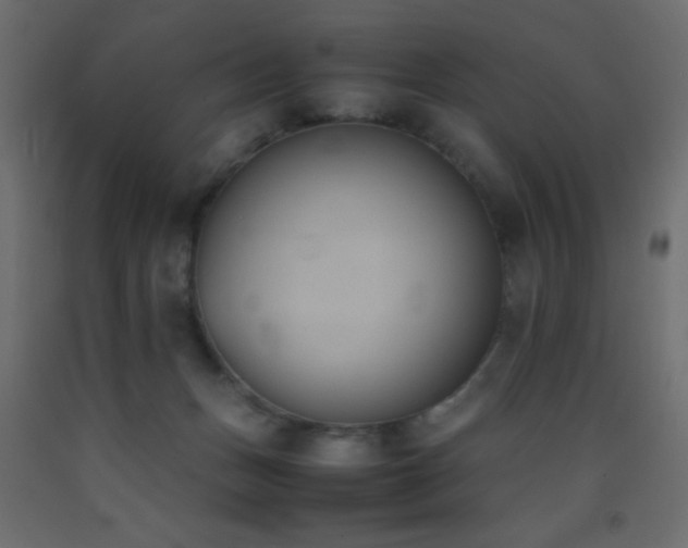 X0000093390175200710111522