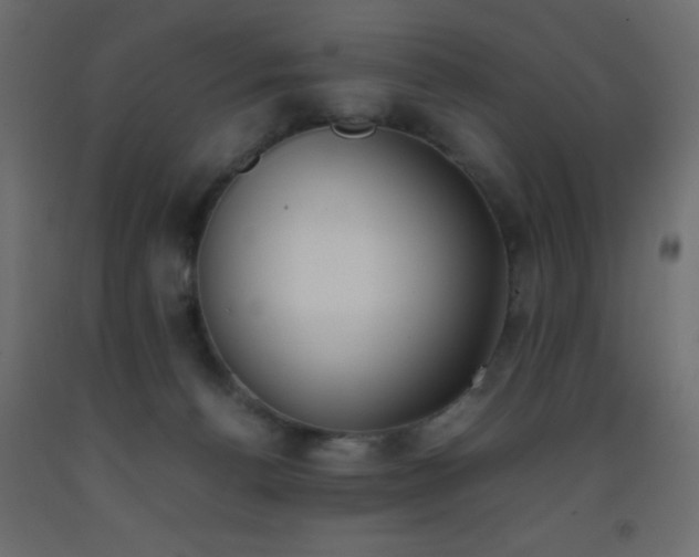 X0000093390176200710111522