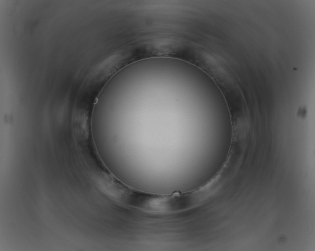 X0000093390178200710111522