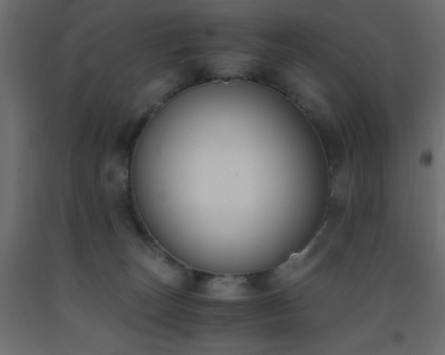 X0000093390179200710111522