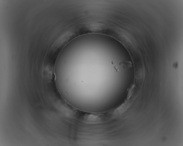 X0000093390180200710111522