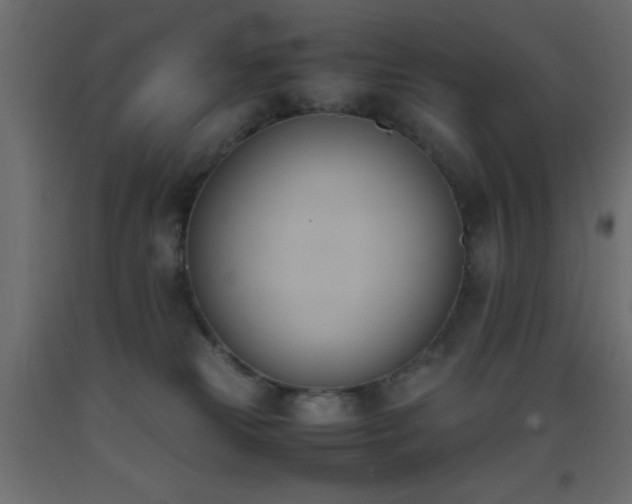 X0000093390181200710111522