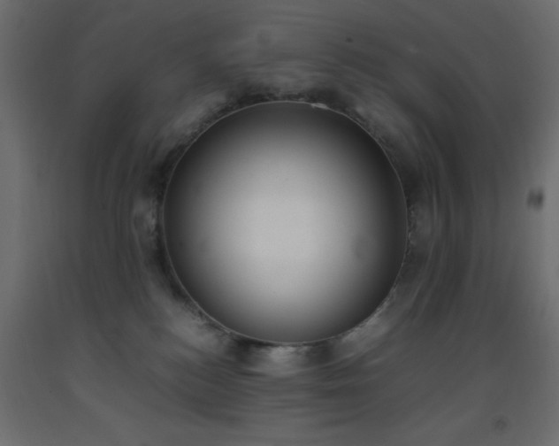 X0000093390184200710111522