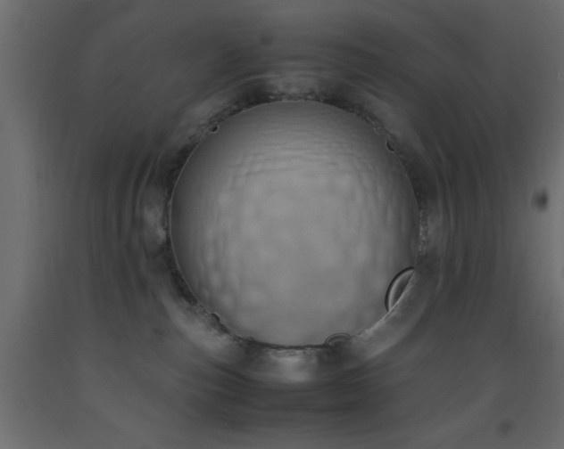 X0000093390187200710111522