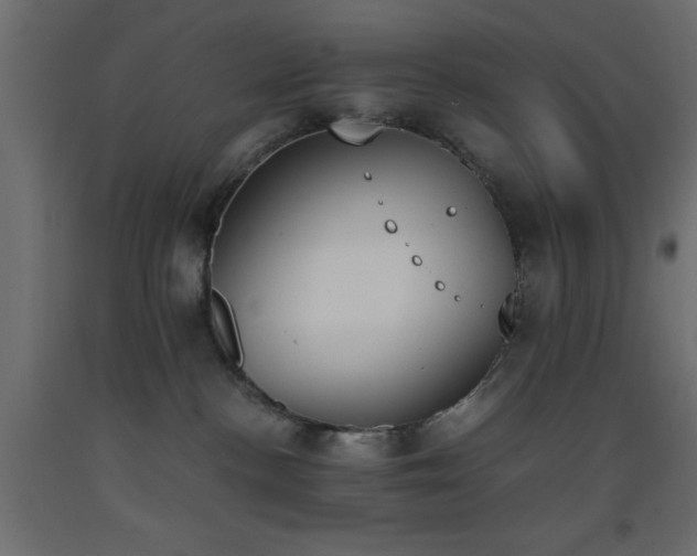 X0000093390188200710111522