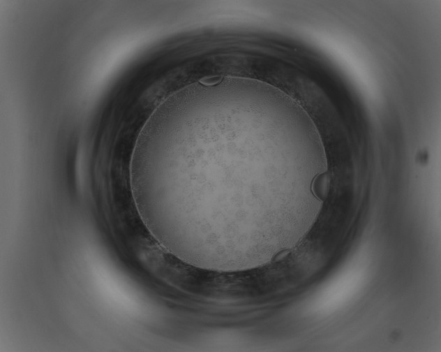 X0000093390189200710111522