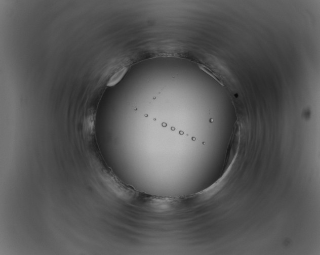 X0000093390190200710111522