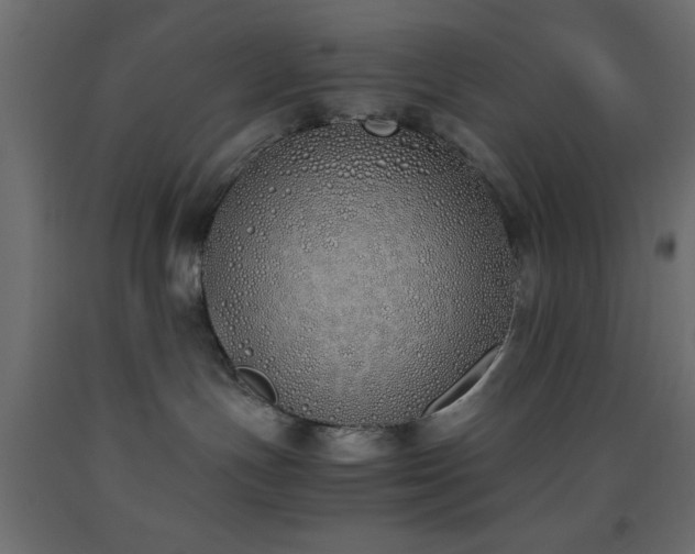 X0000093390191200710111522