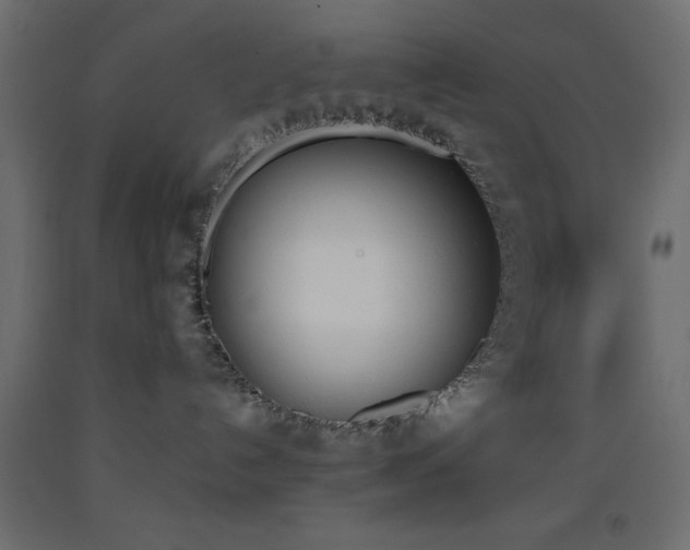 X0000093390192200710111522