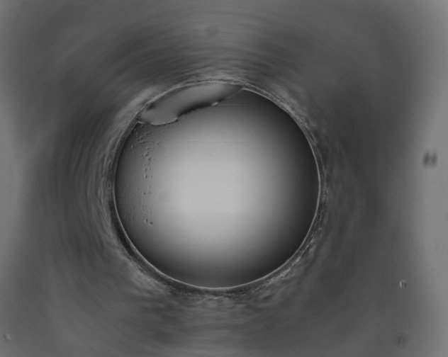 X0000093390193200710111522