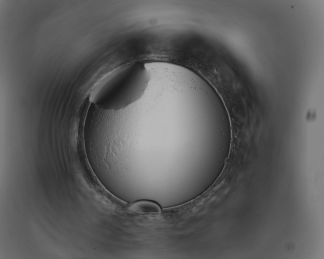 X0000093390194200710111522