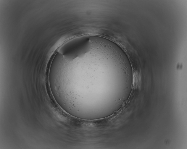 X0000093390195200710111522