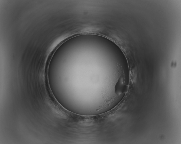 X0000093390196200710111522