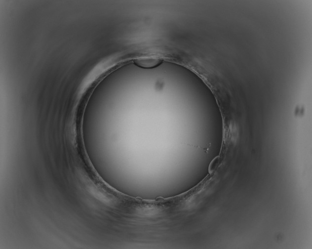 X0000093390198200710111522