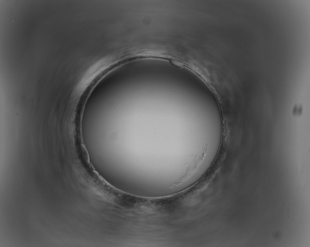 X0000093390199200710111522