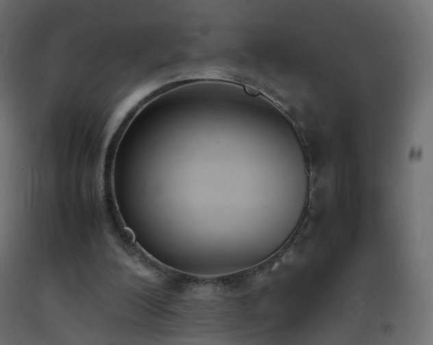 X0000093390200200710111522