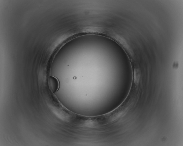 X0000093390204200710111522