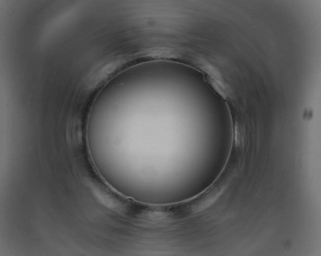 X0000093390205200710111521