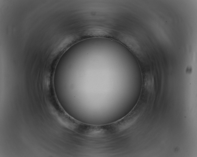 X0000093390206200710111521