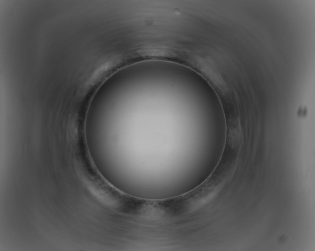 X0000093390207200710111521