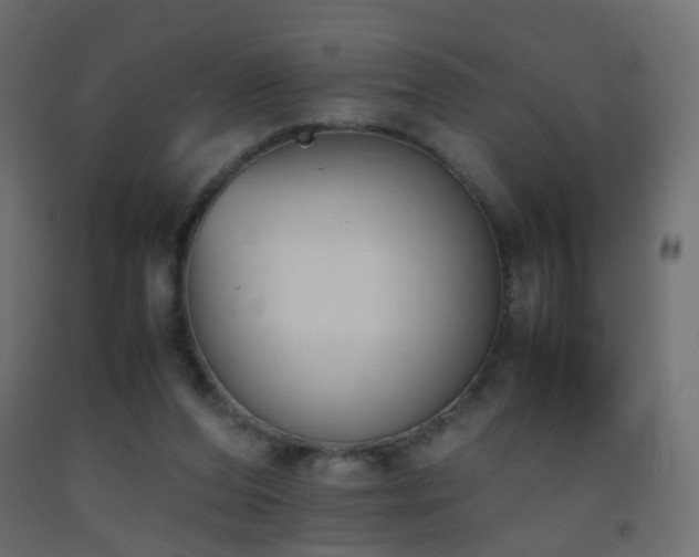 X0000093390208200710111521