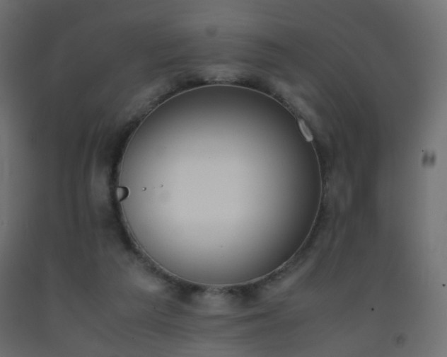 X0000093390209200710111521