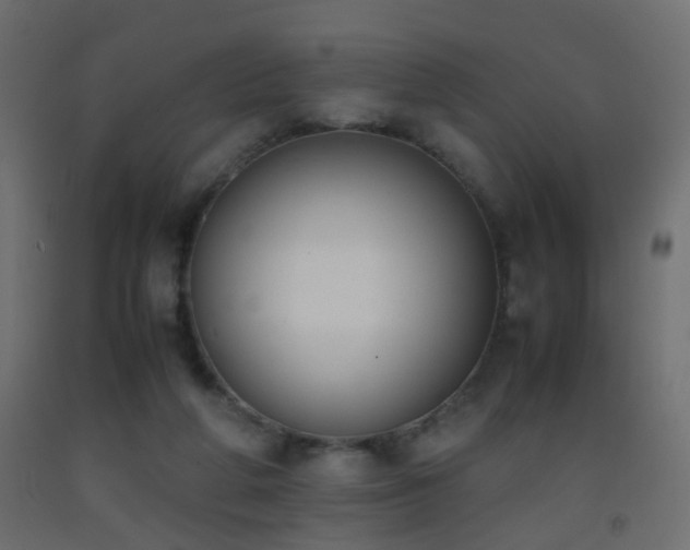 X0000093390210200710111521