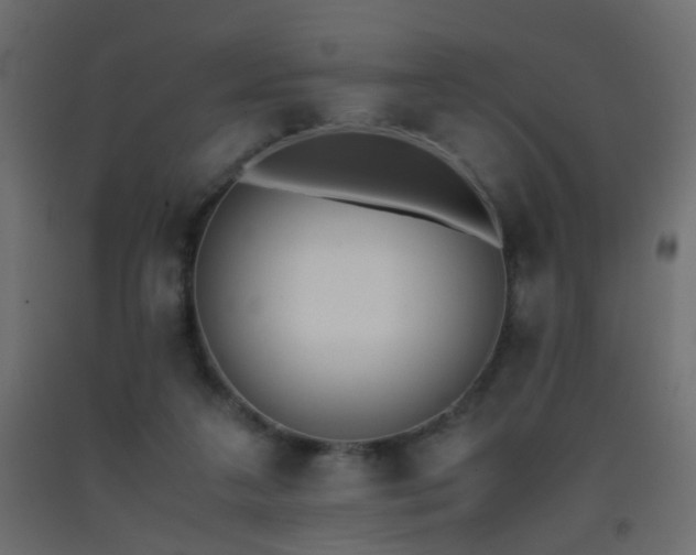 X0000093390211200710111521