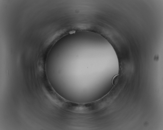 X0000093390212200710111521