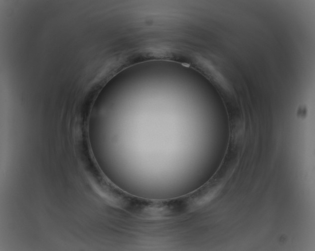 X0000093390213200710111521