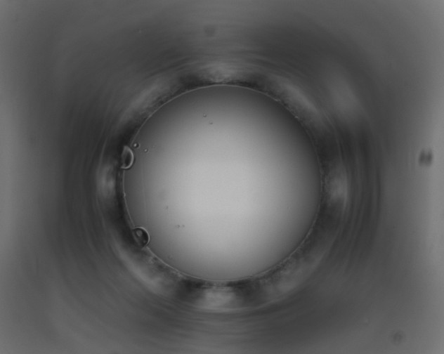 X0000093390214200710111521