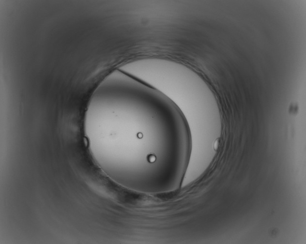 X0000093390215200710111521