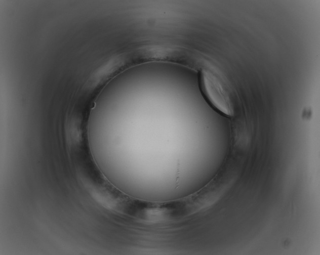 X0000093390216200710111521