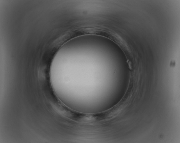 X0000093390217200710111521