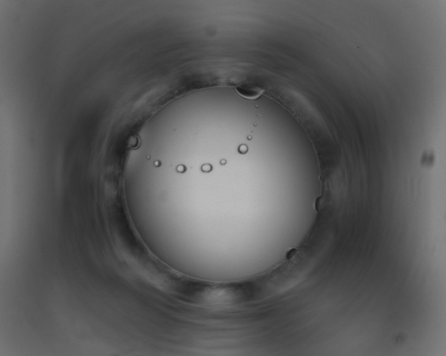 X0000093390218200710111521