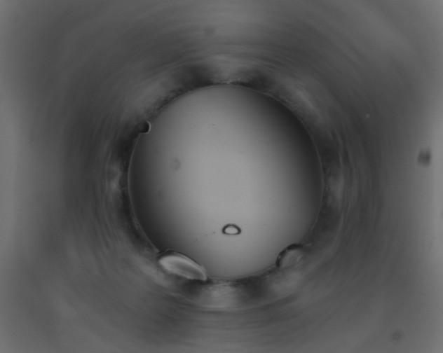 X0000093390219200710111521