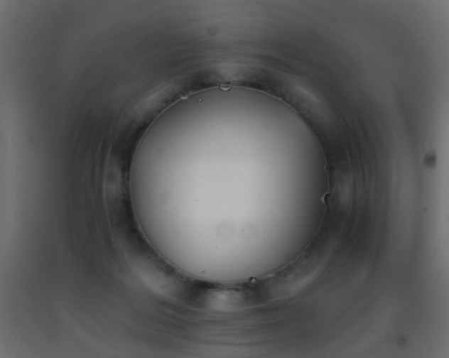 X0000093390220200710111521