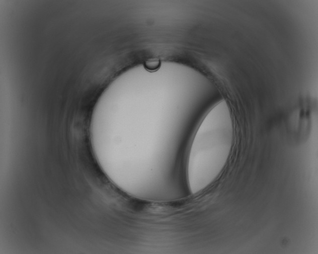 X0000093390221200710111521