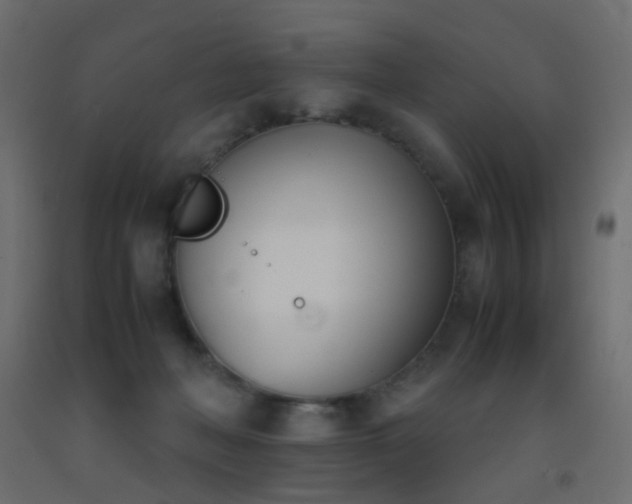 X0000093390222200710111521